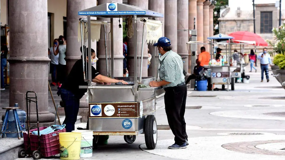 Los carritos comerciales